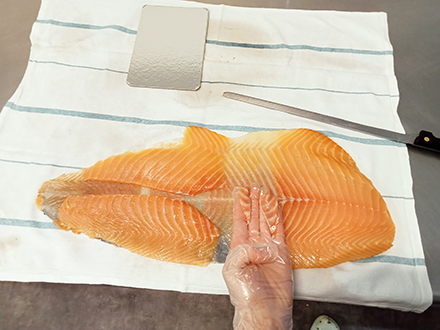 L'instant Saumon - Atelier de Pessac