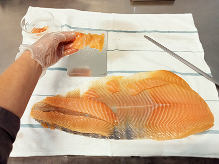 L'instant Saumon - Atelier de Pessac
