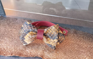 Nœud pape python en cuir de saumon Nœud pape python en cuir de saumon